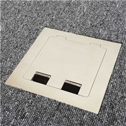 Shallow Floor Outlet Box 2 Power Stainless Steel Flush Square Edge 145 Series