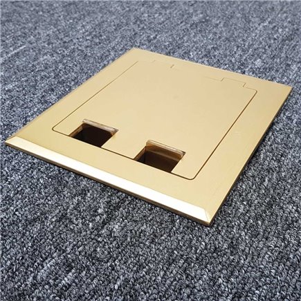 Shallow Floor Outlet Box 2 Power Brass Flush 145 Series